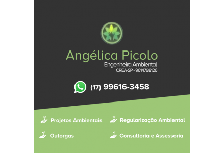 Angélica Picolo - Engenheira Ambiental